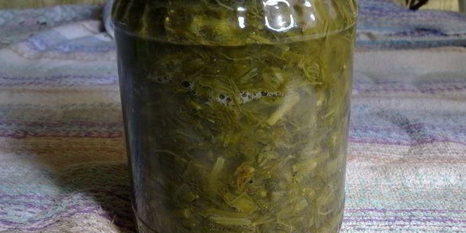 Рецепт щавеля для летних щей зимой