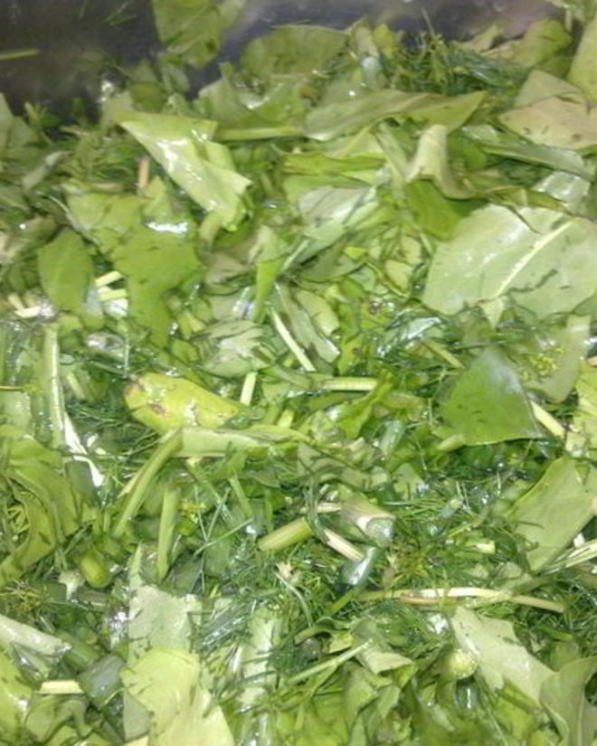 Рецепт щавеля для летних щей зимой