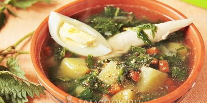 Рецепт щей из крапивы с яйцом
