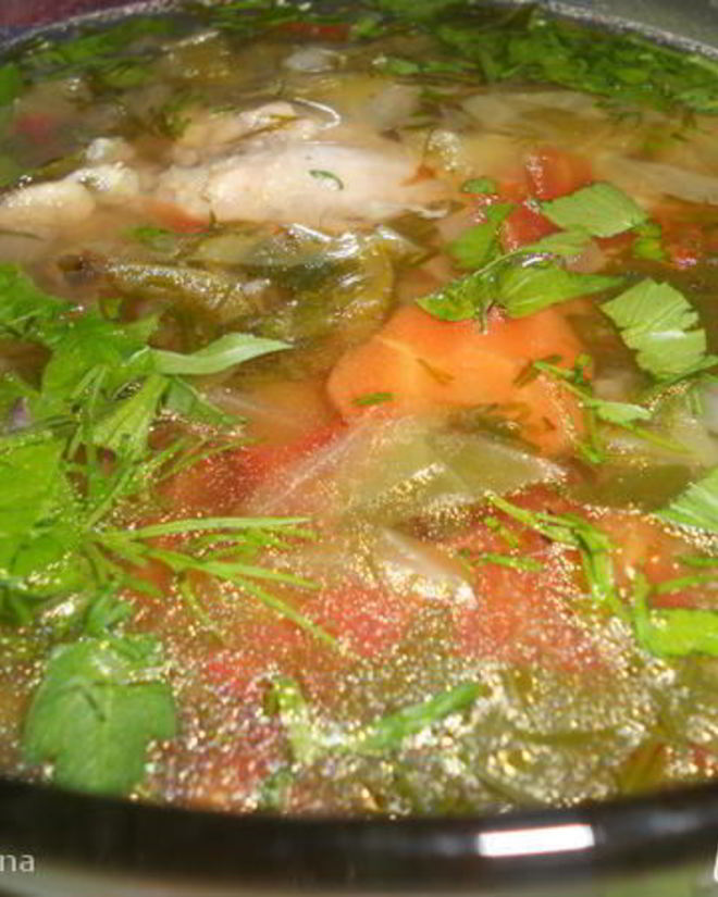 Рецепт щей из молодой капусты летние