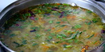 Шаг 6: щей из молодой капусты на курином бульоне