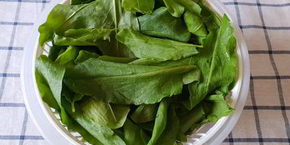 Шаг 3: щей с щавелем