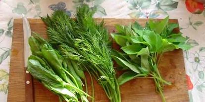 Шаг 12: зеленых щей