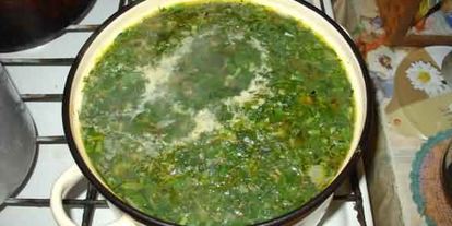 Шаг 20: зеленых щей