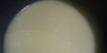 Шаг 1: средиземноморского сливочного супа с креветками