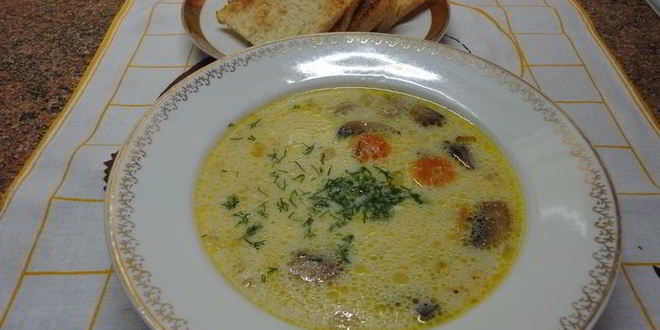 Рецепт супа грибного белого