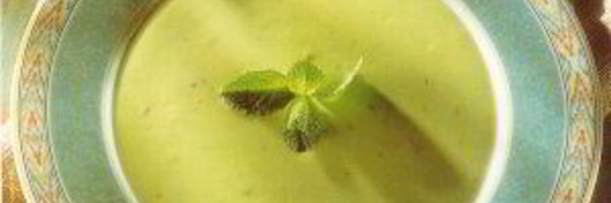 Рецепт Супа из авокадо с мятой