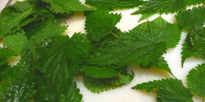 Шаг 4: супа из щавеля и крапивы с яйцом