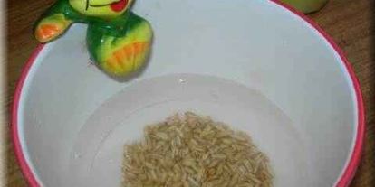 Шаг 9: супа из семги