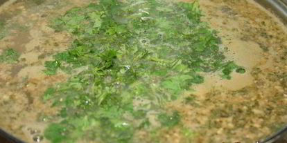 Шаг 9: супа харчо с грецкими орехами