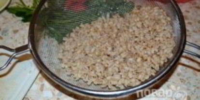 Шаг 3: супа харчо с перловкой