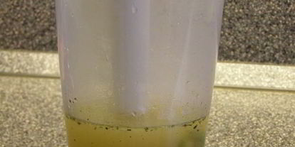 Шаг 4: супа-пюре из цукини с мятой