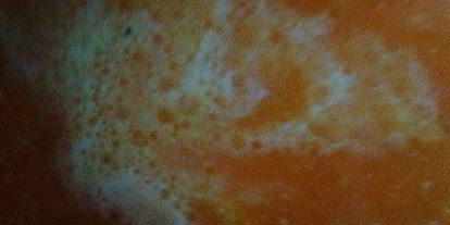 Шаг 6: супа-пюре из тыквы с фрикадельками