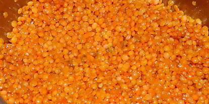 Шаг 4: турецкого чечевичного супа пюре