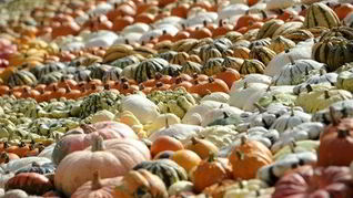 Рецепт Тыквенного супа-пюре на овощном бульоне с карри