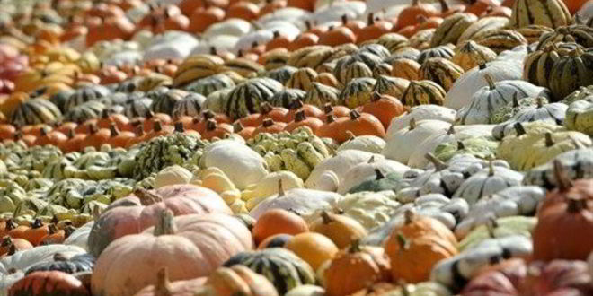 Рецепт Тыквенного супа-пюре на овощном бульоне с карри