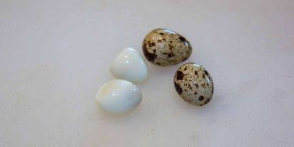 Шаг 15: свекольника холодного с ботвой