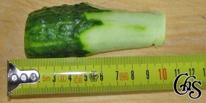 Шаг 39: свекольника