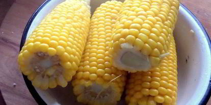 Шаг 4: сырного супа ностальгия