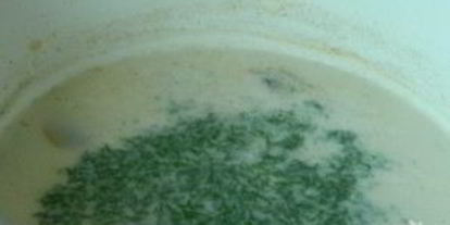 Шаг 5: сырного супа с шампиньонами и брокколи