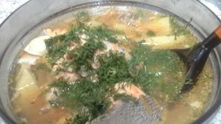 Рецепт Домашней ухи