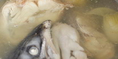 Шаг 4: классической ухи