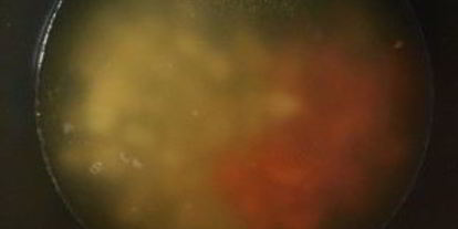 Шаг 3: настоящей ухи