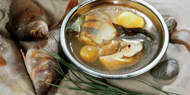 Рецепт рыбацкой ухи иза судачкова