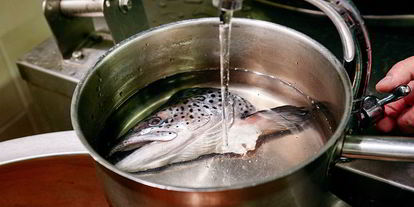 Шаг 2: ухи давиды