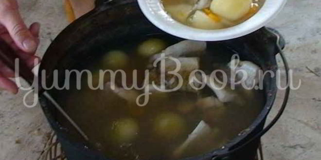 Рецепт ухи двойной по-рязански