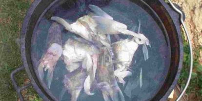 Шаг 23: ухи двойной по-рязански