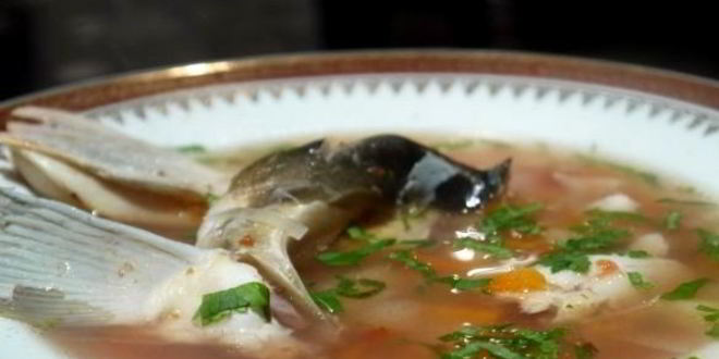 Рецепт ухи иза голов сазаны