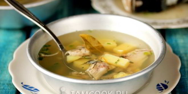 Рецепт ухи из головы толстолобика