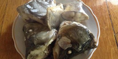 Шаг 1: ухи из карпа