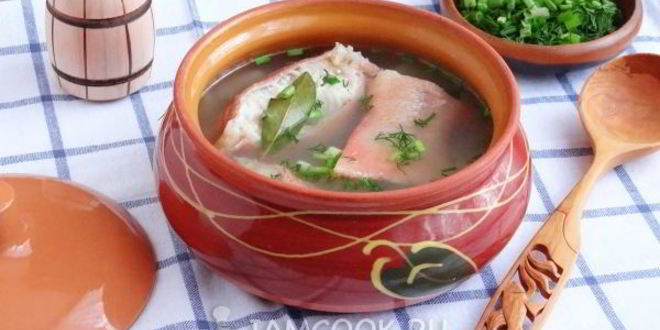 Рецепт ухи из морского окуня