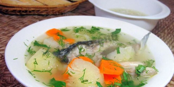 Рецепт ухи из речной рыбы