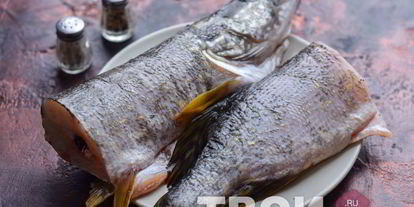 Шаг 4: ухи из щуки