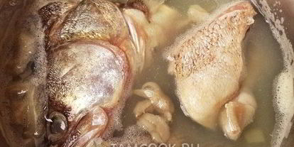 Шаг 10: ухи из судака по-рыбацки