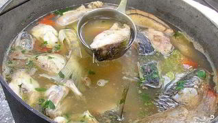 Рецепт Ухи на костре