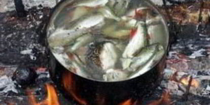 Шаг 1: ухи на костре