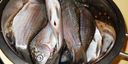 Шаг 2: ухи по-домашнему