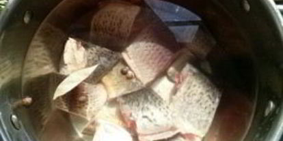 Шаг 2: ухи по-елизаветински