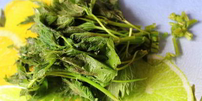 Шаг 3: зеленого супа из щавеля и крапивы