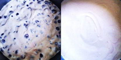 Шаг 6: летнего чизкейка с рикоттой и голубикой без выпечки