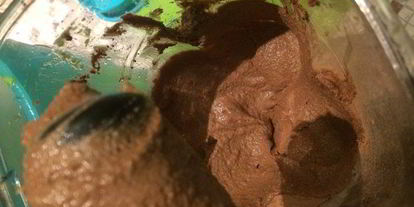 Шаг 11: веганского чизкейка радуга