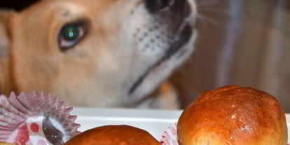 Шаг 11: бабы ромовой