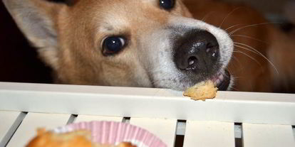 Шаг 12: бабы ромовой