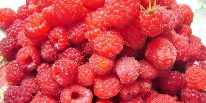 Шаг 4: кекса макового с малиной и смородиной