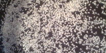 Шаг 11: кекса трио