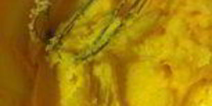 Шаг 3: шоколадного кекса с черной смородиной